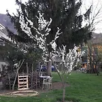 Sun Garden