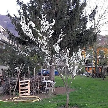 Sun Garden