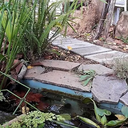 Sun Garden B&B